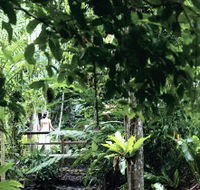 Flecker Botanic Gardens - South Australia Travel