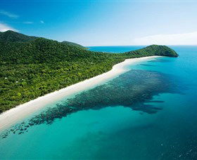 Cape Tribulation, Daintree National Park - South Australia Travel 0