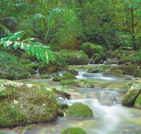 Mossman Gorge Daintree National Park - South Australia Travel