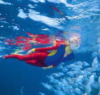 Great Detached Reef Dive Site - South Australia Travel