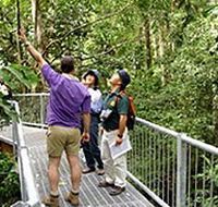 Daintree Discovery Centre - South Australia Travel