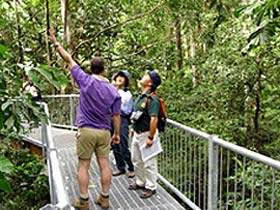 Daintree Discovery Centre - South Australia Travel 0