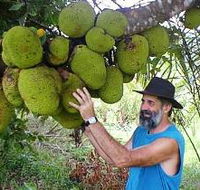 Cape Trib Exotic Fruit Farm - South Australia Travel