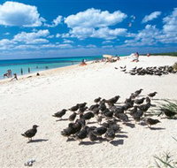 Michaelmas and Upolo Cays National Park - South Australia Travel