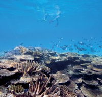 Australian Institute of Marine Science - South Australia Travel