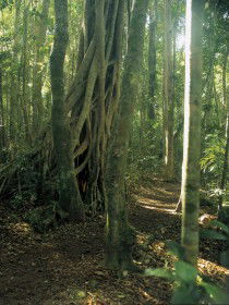  South Australia Travel