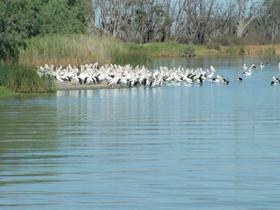 Lake Ross - South Australia Travel 0