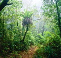 Lamington National Park Green Mountains Section - South Australia Travel