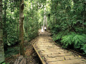 North Johnstone QLD South Australia Travel