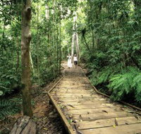 Lake Barrine Circuit Track Crater Lakes National Park - South Australia Travel