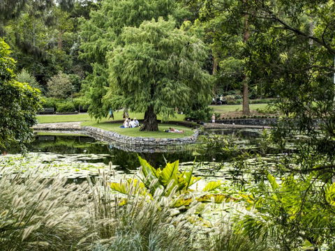 Brisbane Botanic Gardens Mount Coot-tha - South Australia Travel 1