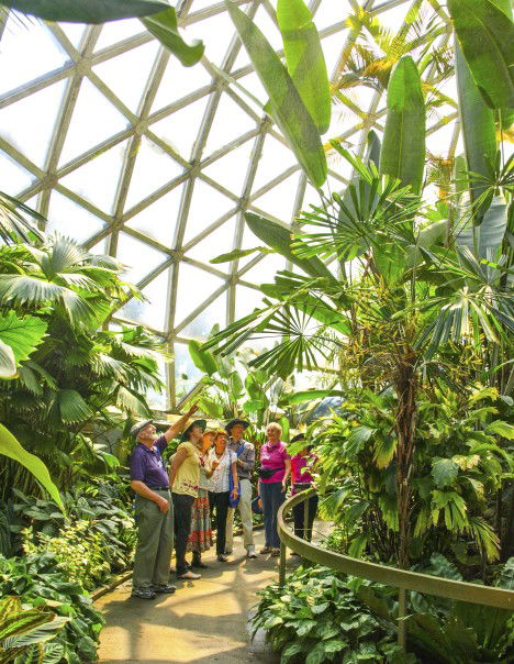 Brisbane Botanic Gardens Mount Coot-tha - South Australia Travel 10