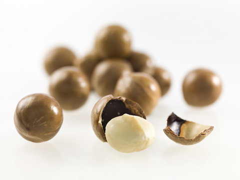 Nutworks - South Australia Travel 5