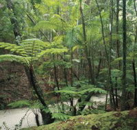 Fraser Island Great Walk - South Australia Travel