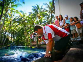 Daydream Island QLD South Australia Travel