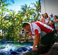 The Living Reef on Daydream Island - South Australia Travel