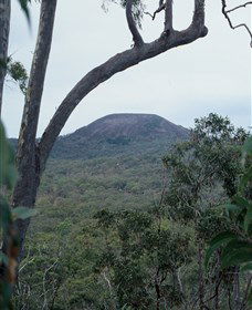 Mount Fox - South Australia Travel 0