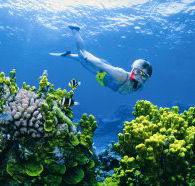 Wheeler Reef Dive Site - South Australia Travel