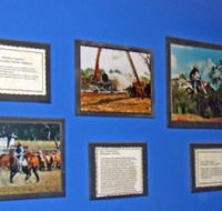 Town Hall Photographic Display - South Australia Travel