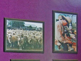 Charleville Photographic Display - South Australia Travel 0