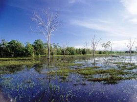 Tyto Wetlands - South Australia Travel 0