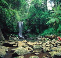 Tamborine National Park - South Australia Travel