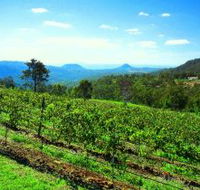Preston Peak Wines - South Australia Travel