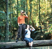 Birdwatching on the Fraser Coast - South Australia Travel