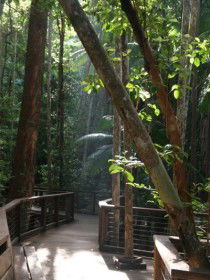 Basin Lake Track - South Australia Travel 0