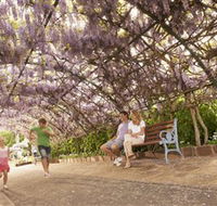 Laurel Bank Park - South Australia Travel