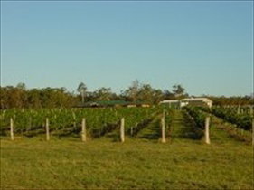 Kingsley Grove Estate - South Australia Travel 0