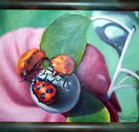 Kingaroy Shire Art Gallery - South Australia Travel