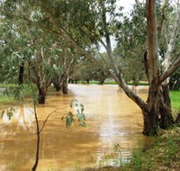 Saddliers Waterhole and Hamburg Creek - South Australia Travel