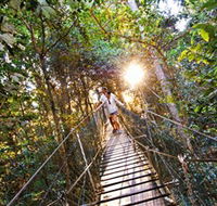 Tree Top Walkway - South Australia Travel