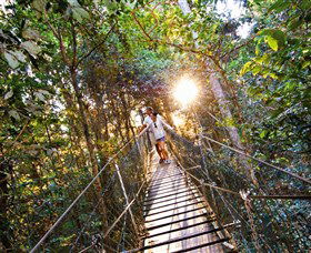 Tree Top Walkway - South Australia Travel 0