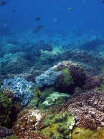 Bargara QLD South Australia Travel