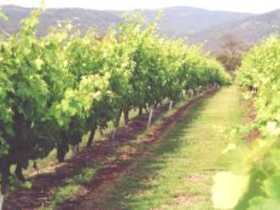 Wyberba QLD South Australia Travel