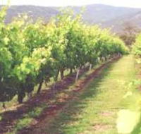 Girraween Estate - South Australia Travel