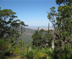 Zamia Walk - South Australia Travel 0