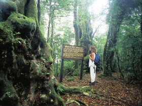 Tooloona Creek Circuit - South Australia Travel 0