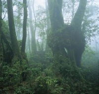 West Canungra Creek Circuit - South Australia Travel