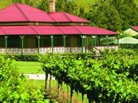 OReillys Canungra Valley Vineyards - South Australia Travel 0