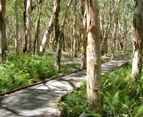 The Kommo Toera Trail - South Australia Travel 0