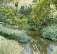 Yarrambat Park - South Australia Travel