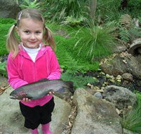 Wild Food Farm  Cafe - South Australia Travel