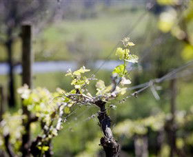 Balnarring VIC South Australia Travel