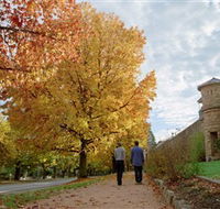 Indigo Gold Trail - South Australia Travel