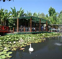Blue Lotus Water Garden - South Australia Travel
