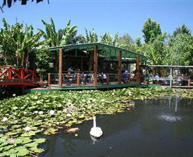 Blue Lotus Water Garden - South Australia Travel 0