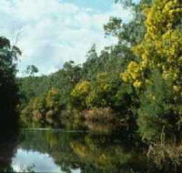Warrandyte State Park - South Australia Travel